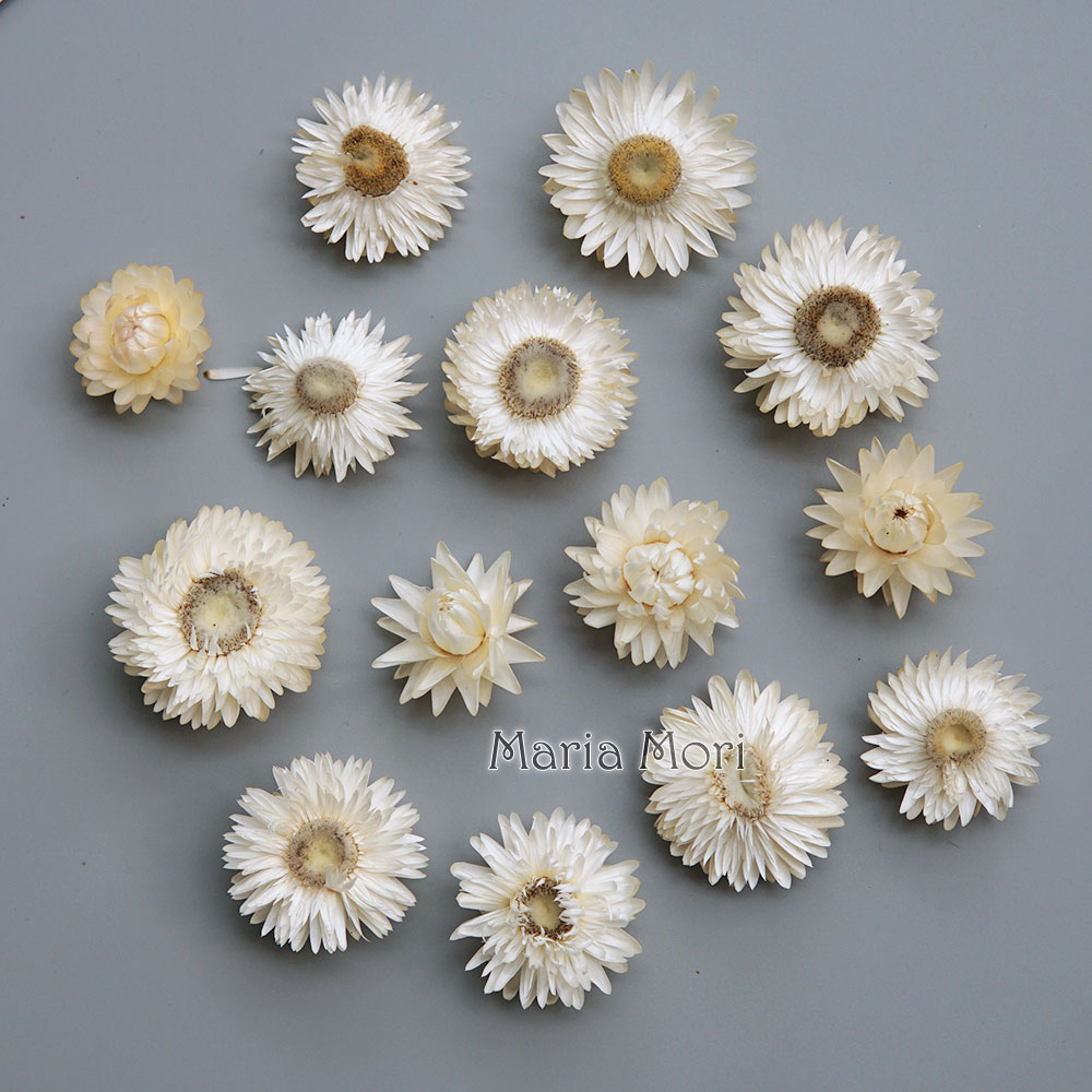 Natural Dried Colorful Chrysan - Holiday Candle Set 评论和价格