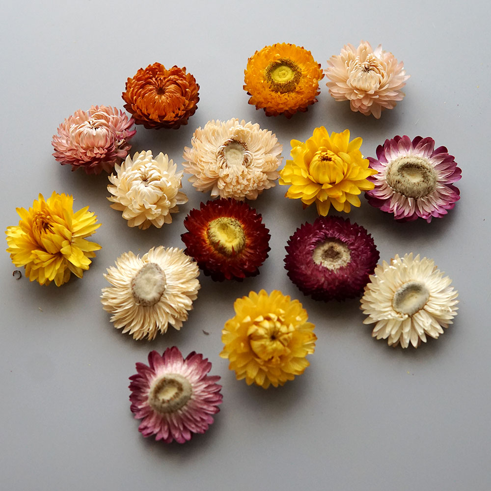 Natural Dried Colorful Chrysan - Holiday Candle Set 评论和价格