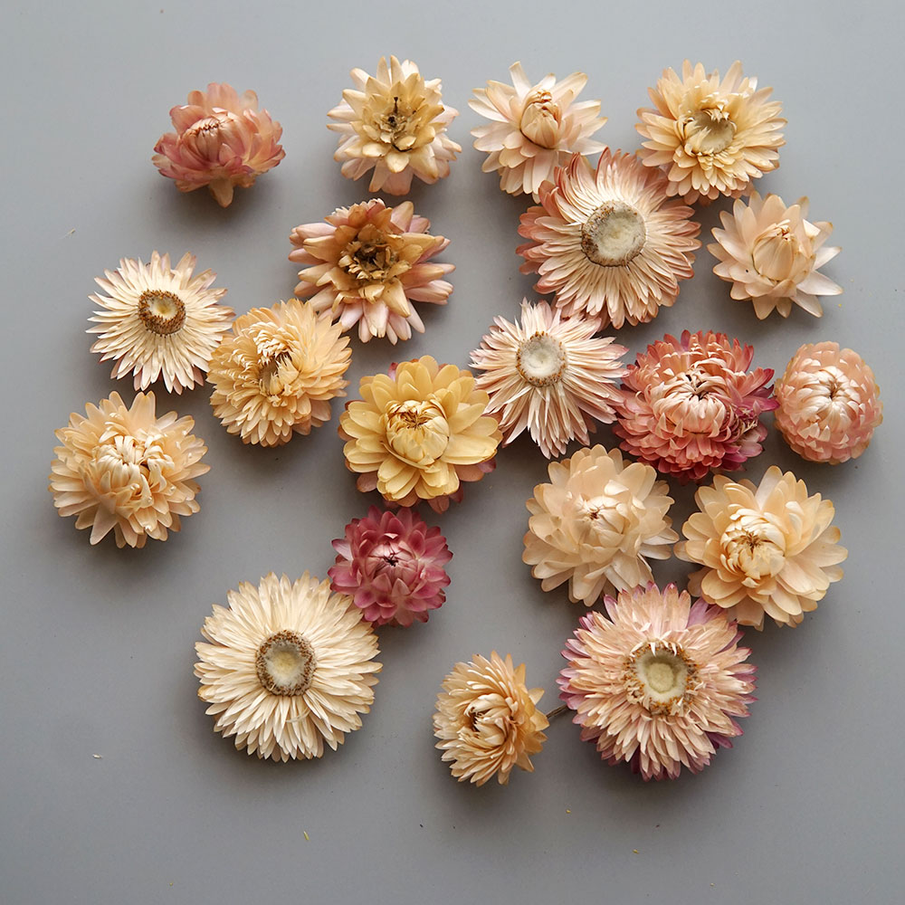 Natural Dried Colorful Chrysan - Holiday Candle Set 评论和价格